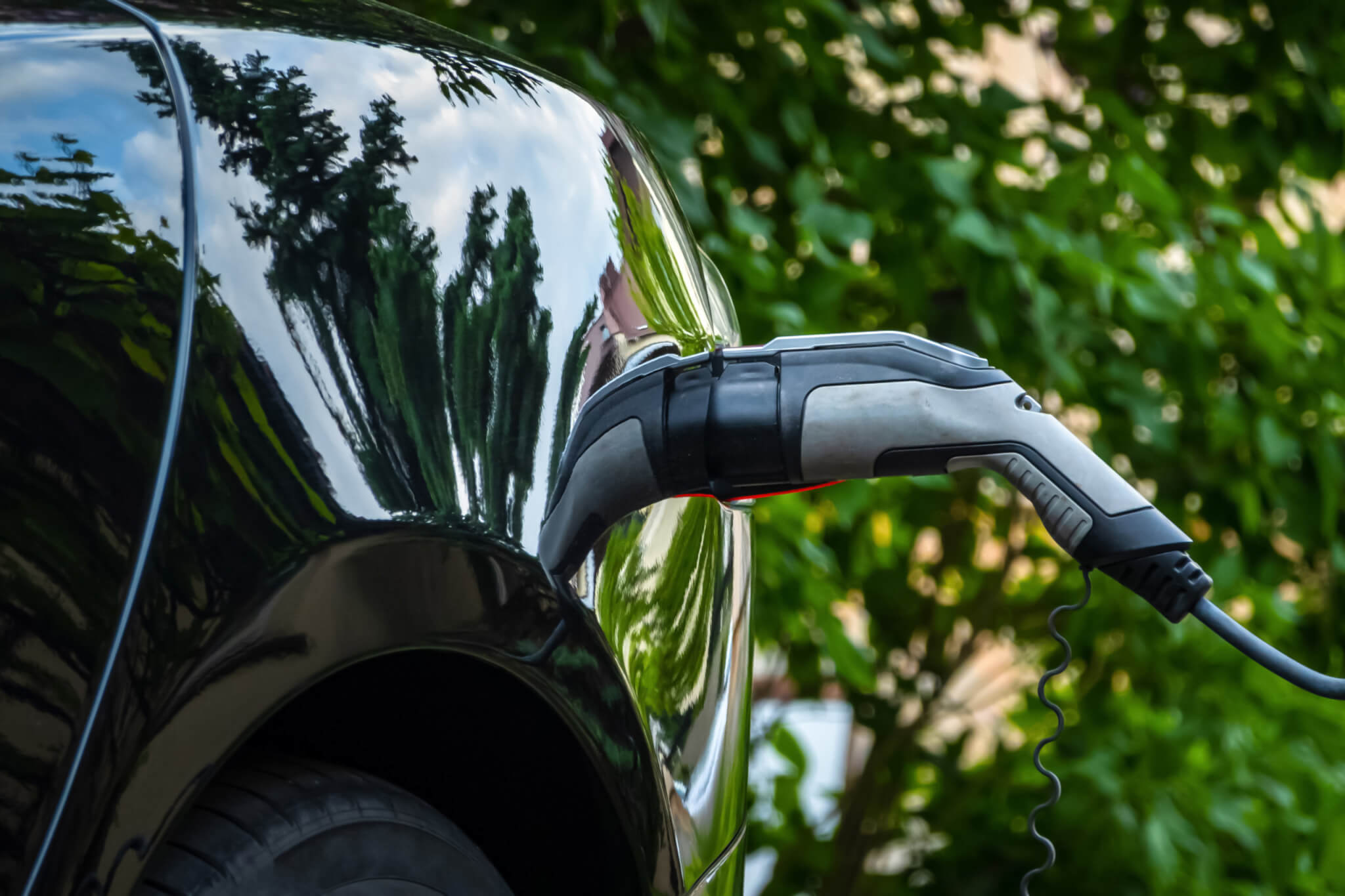 Charger plug in electric car on green environment background. Ne